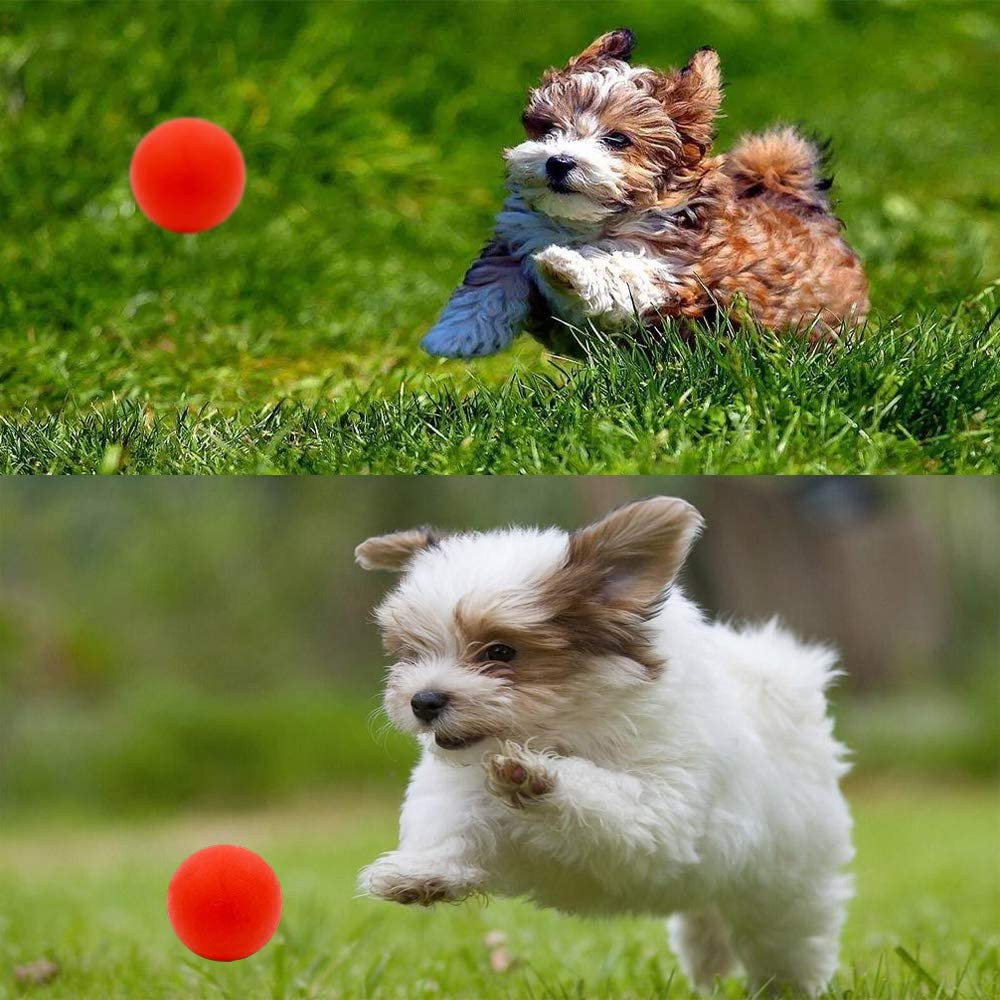 4 Pack Puppy Balls, Puppy Teething Ballrable